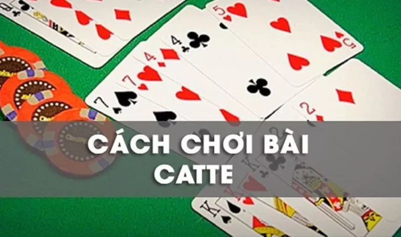 Bài Catte Là Gì? Cách Chơi Và Chiến Thuật Thắng God55